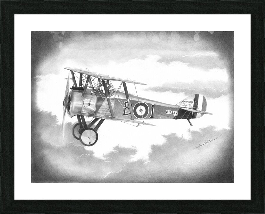 Framed Print