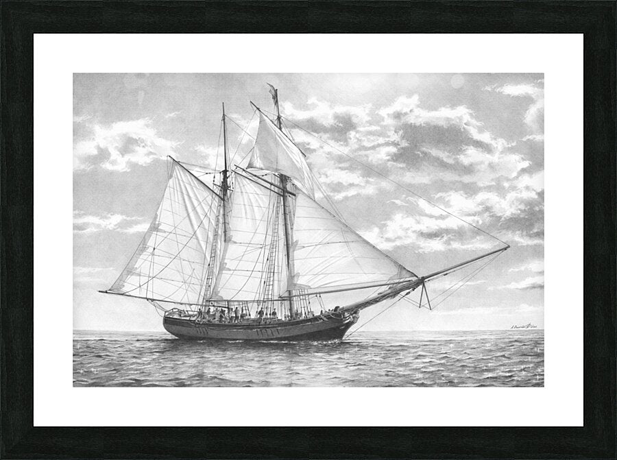 Framed Print