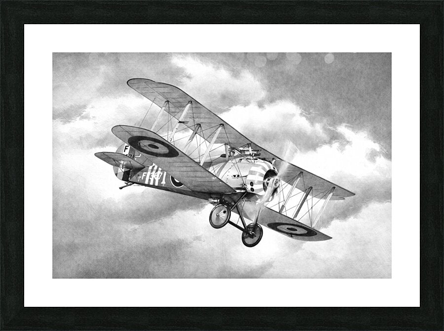 Framed Print