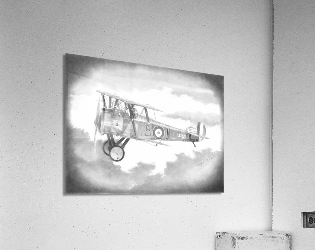 Acrylic Print