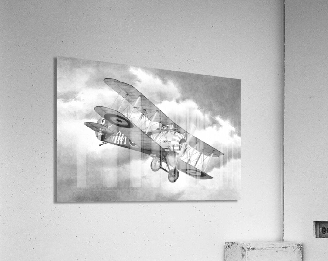 Acrylic Print