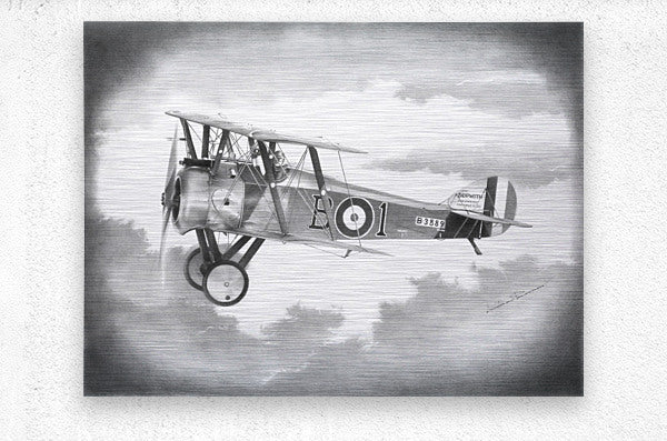 Brushed Metal Print