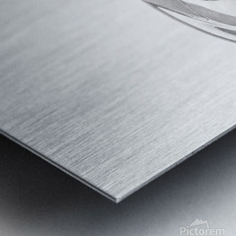 Brushed Metal Print