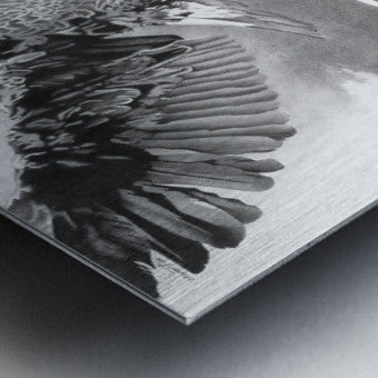 Brushed Metal Print