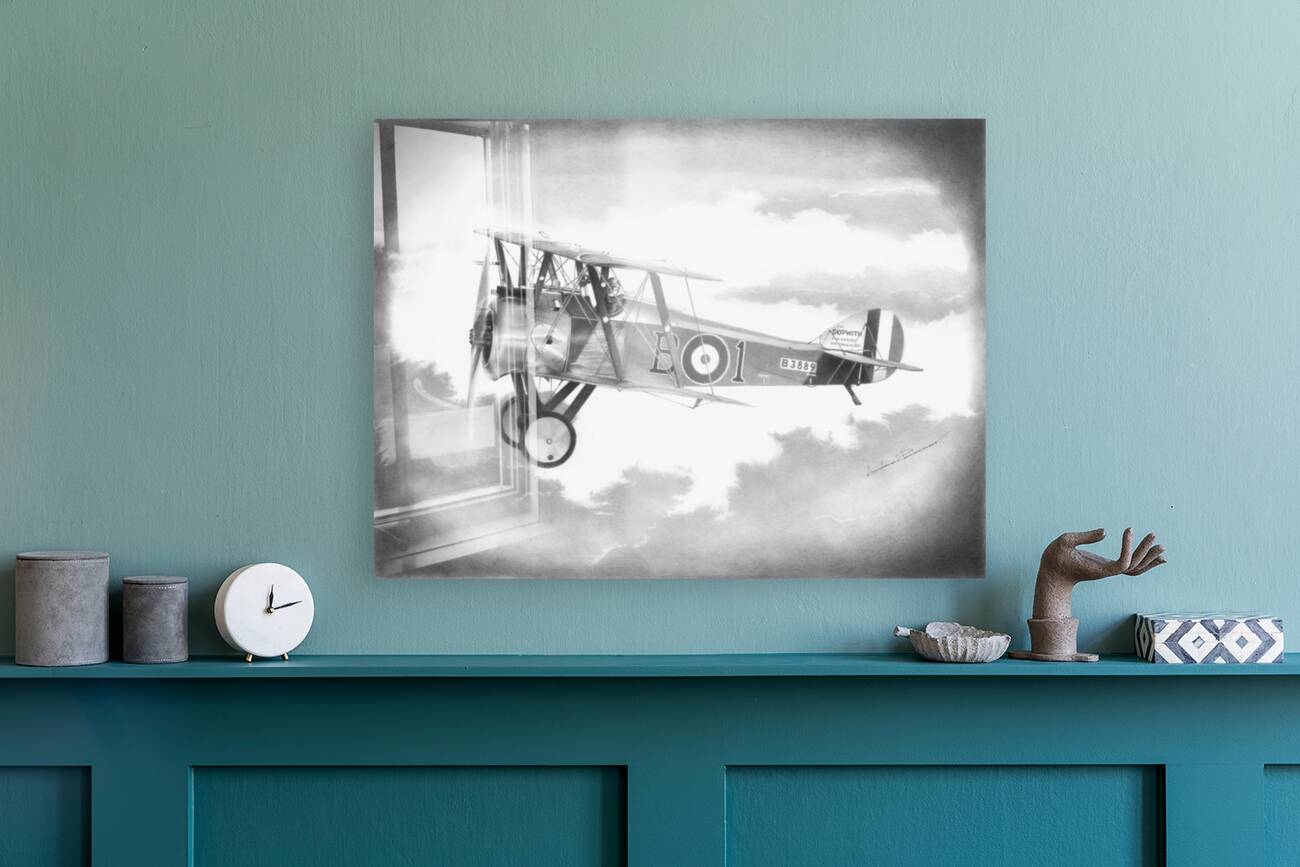 Plane Print: Vintage Airplane Photo Like Drawing