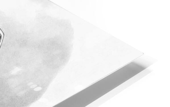 HD Sublimation Metal Print