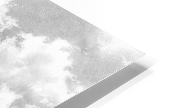 HD Sublimation Metal Print