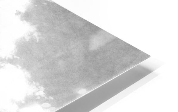 HD Sublimation Metal Print