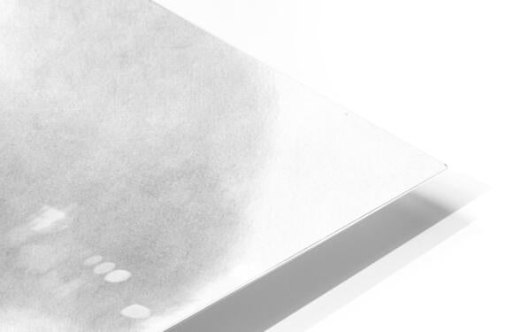 HD Sublimation Metal Print