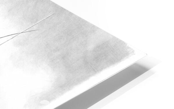 HD Sublimation Metal Print