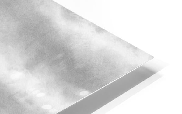 HD Sublimation Metal Print