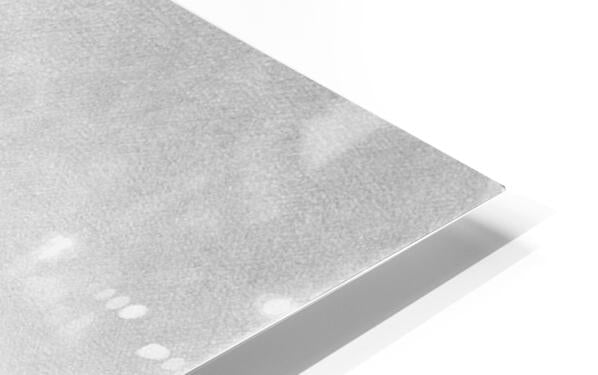 HD Sublimation Metal Print