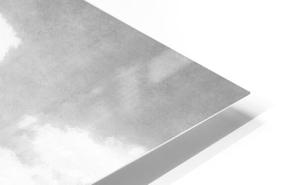 HD Sublimation Metal Print