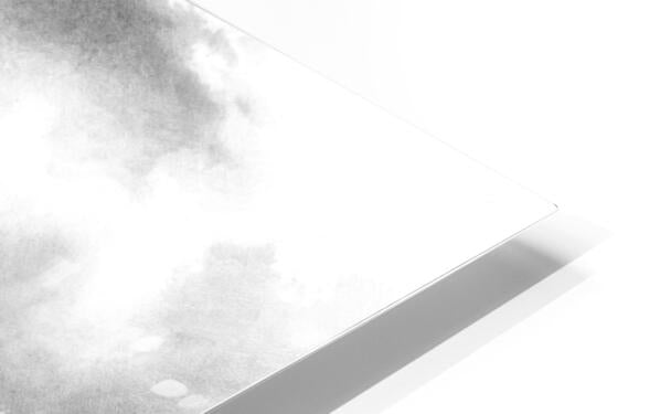 HD Sublimation Metal Print