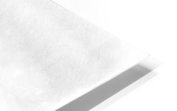 HD Sublimation Metal Print