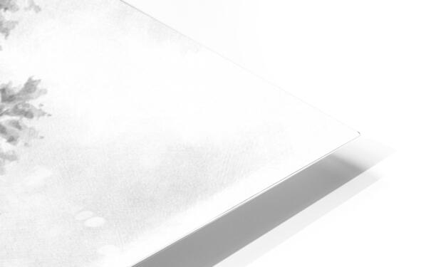 HD Sublimation Metal Print