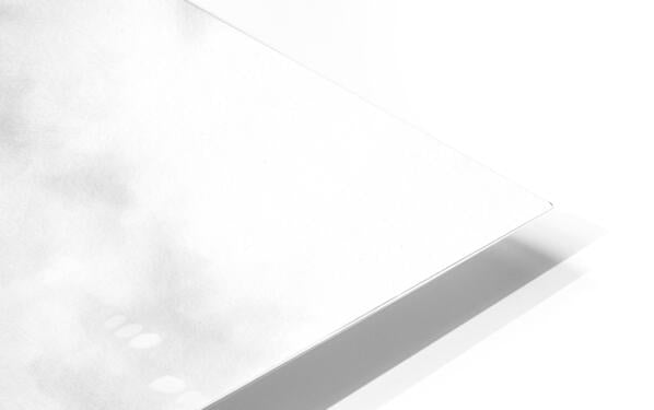 HD Sublimation Metal Print