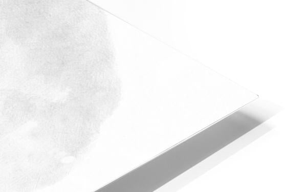 HD Sublimation Metal Print