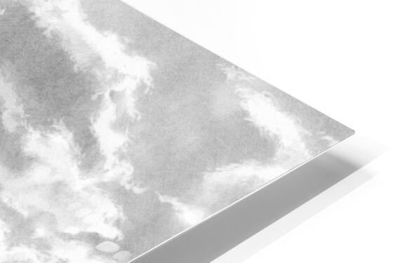 HD Sublimation Metal Print