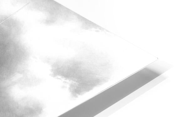 HD Sublimation Metal Print