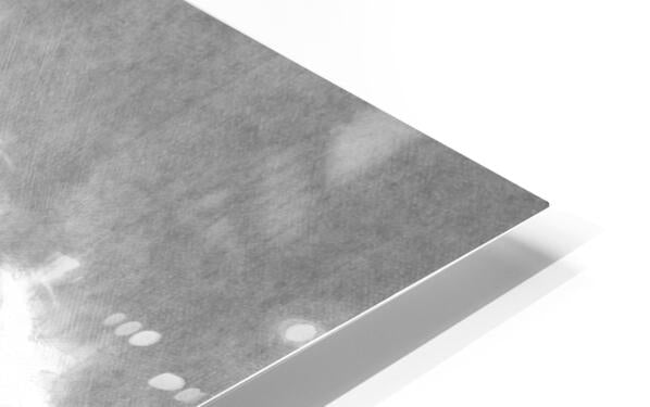HD Sublimation Metal Print