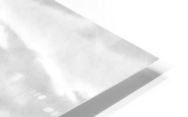 HD Sublimation Metal Print