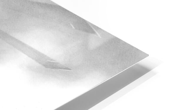 HD Sublimation Metal Print