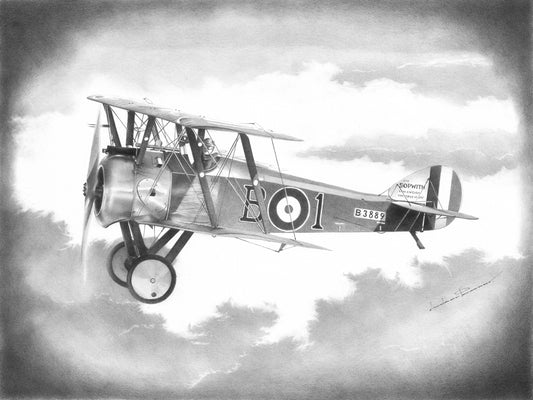 Plane Print: Vintage Airplane Photo Like Drawing